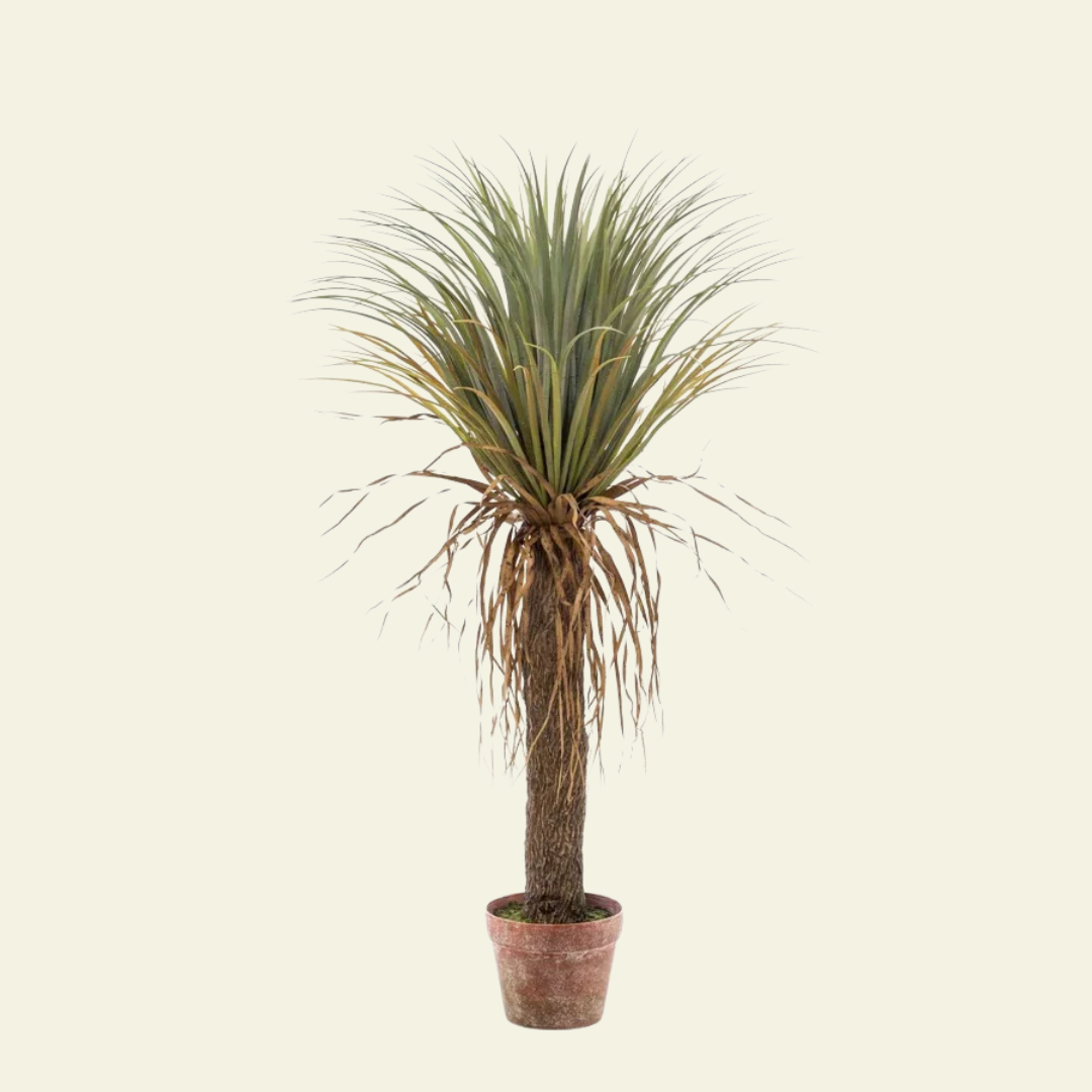 Yuca Wild– 110 cm