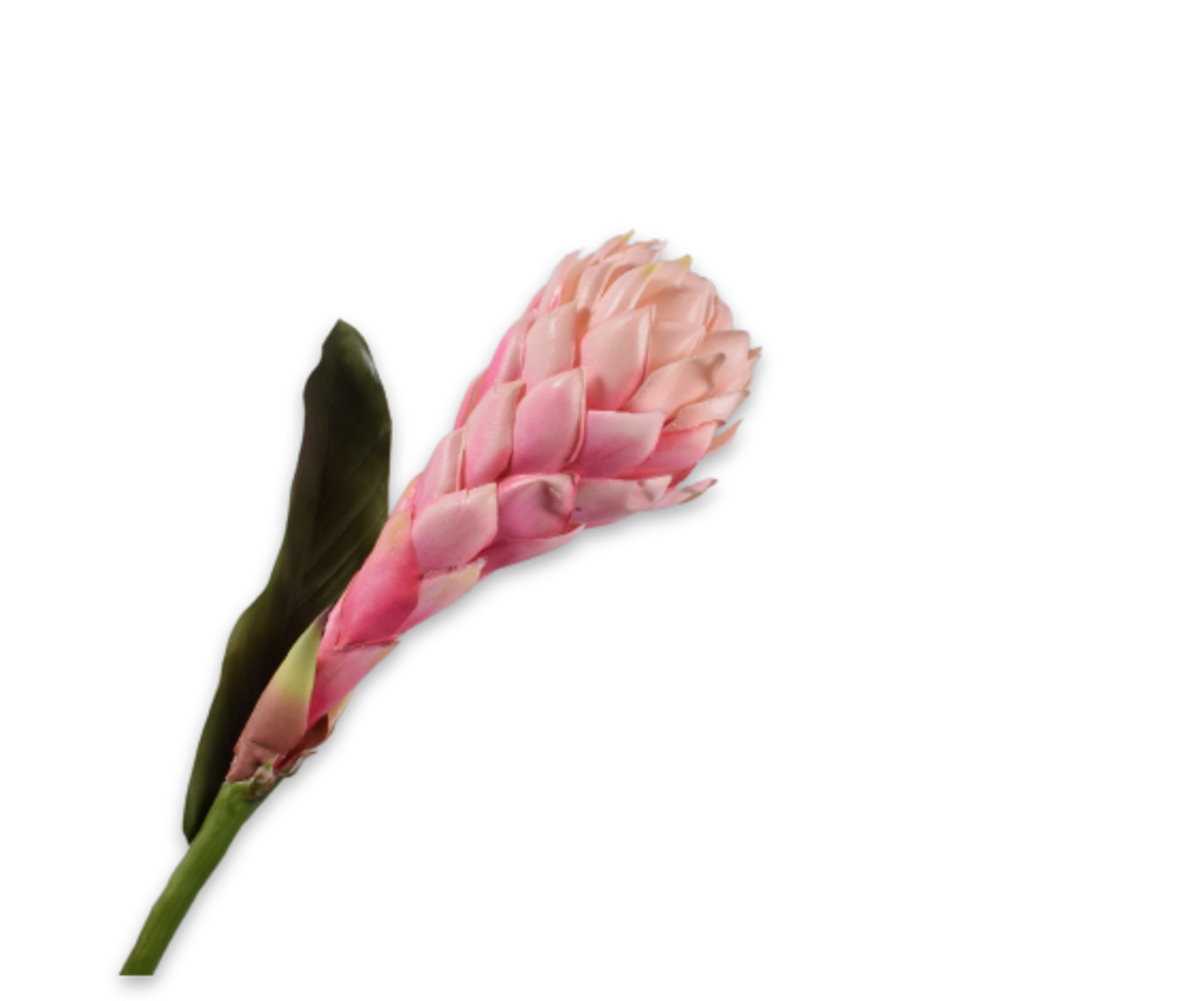 Ginger Steel Roze 97 cm