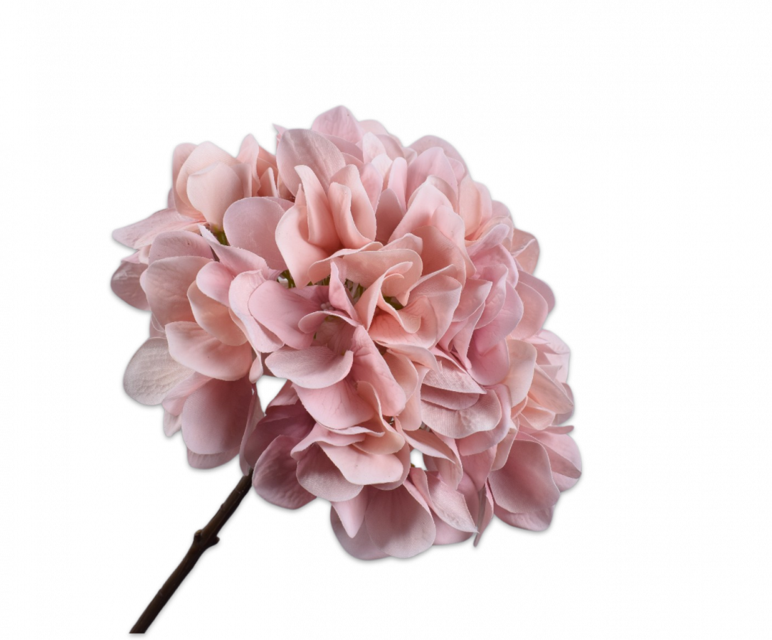 Hortensia Steel Roze