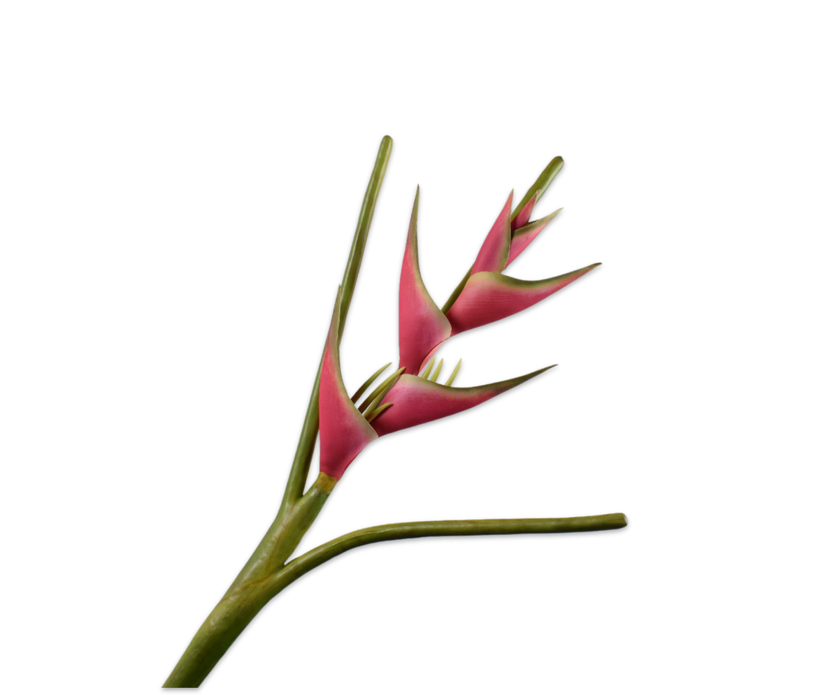 Heliconia Steel Rd/Grn 107 cm