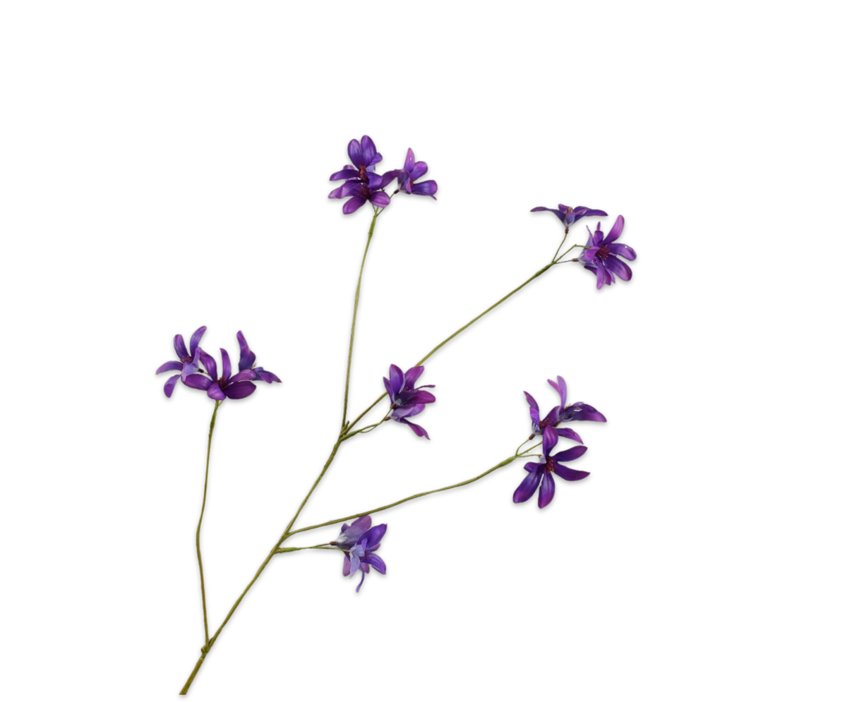 Hyacint Tak Paars Rt 79 cm