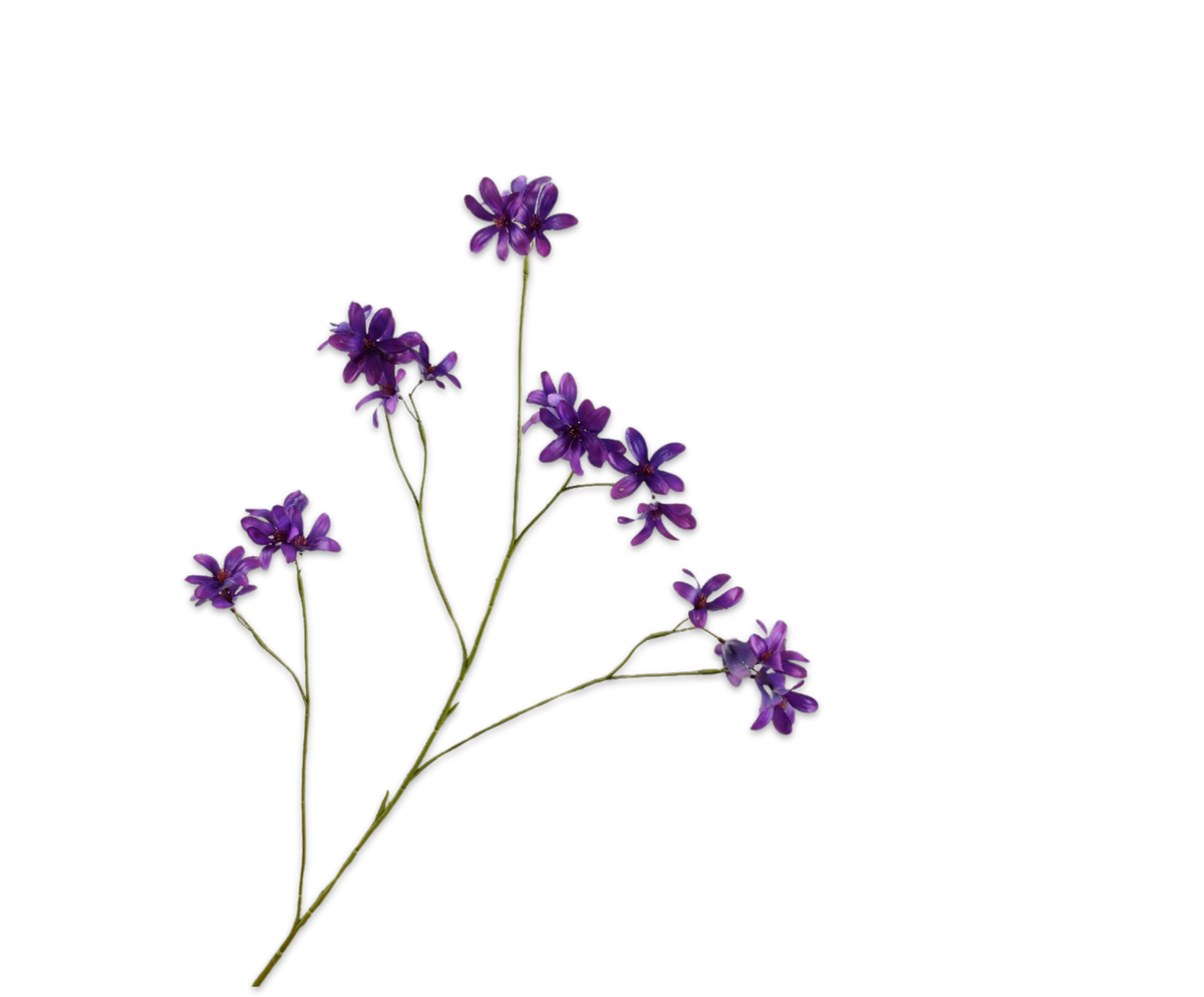 Hyacint Tak Paars Rt 111 cm