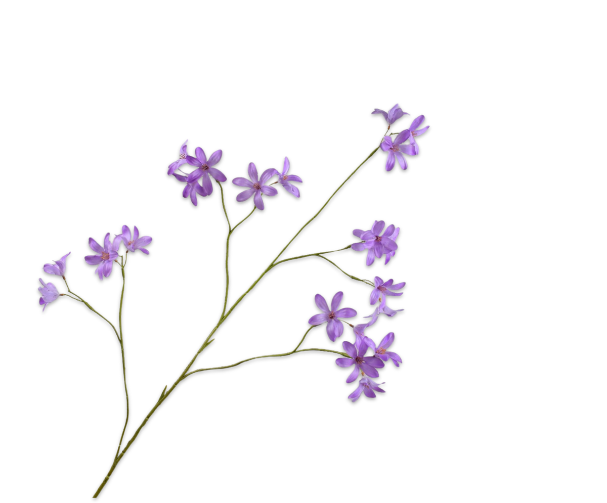 Hyacint Tak Lavend Rt 111 cm