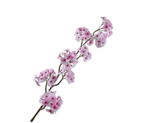 Bloesem Tak Roze 95 cm