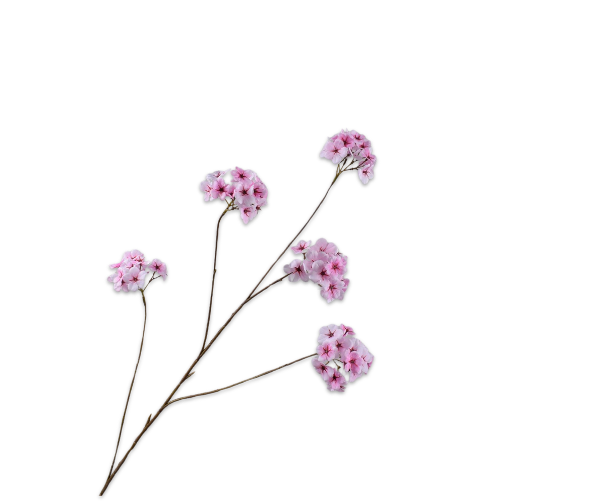 Bloesem Tak Roze 110 cm
