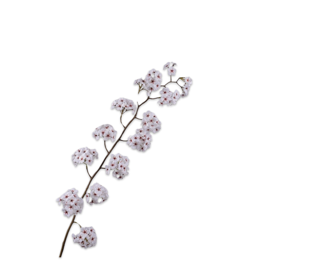 Bloesem Tak Creme 135 cm
