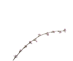 Bloesem Tak Roze 188 cm*