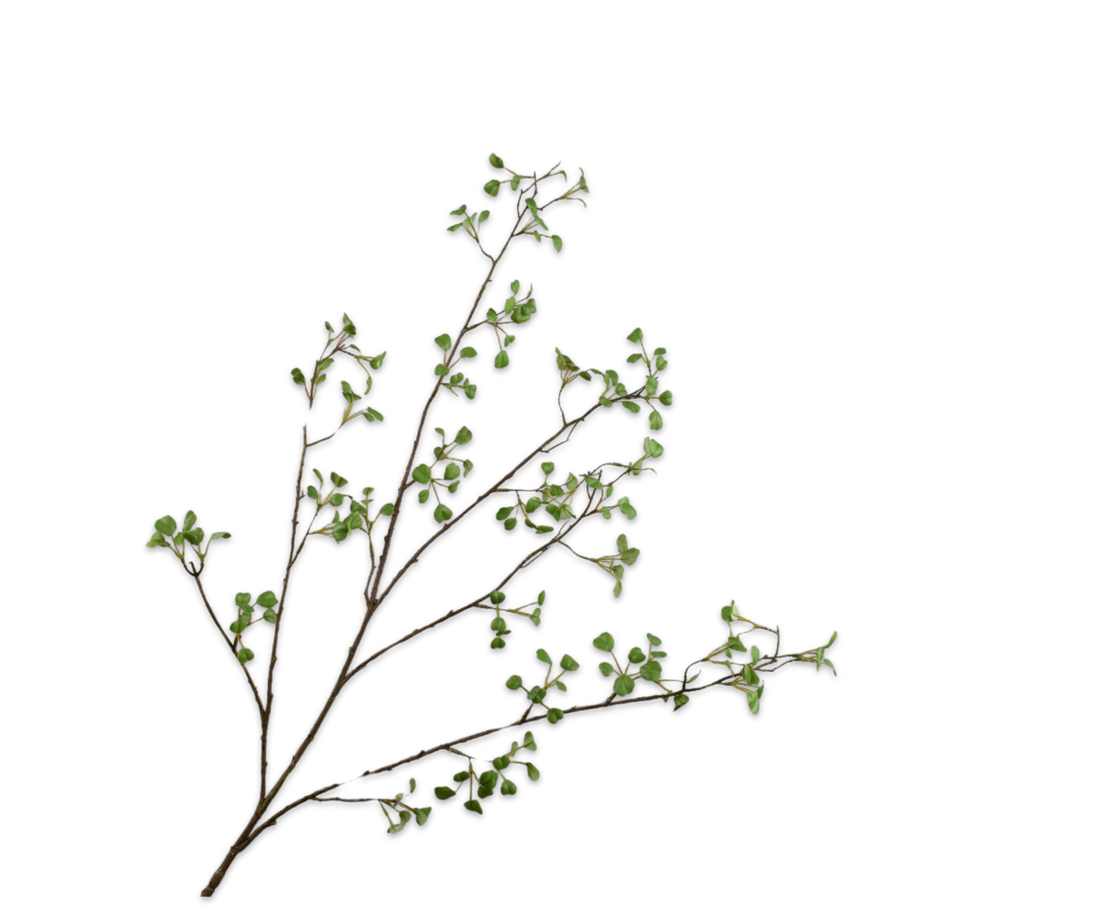 Bladtak Groen 125 cm