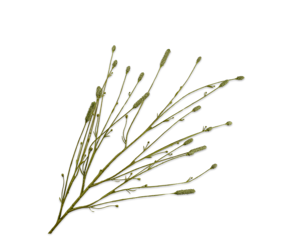 Pimpernel Tak Groen 116 cm