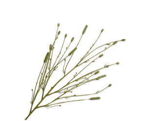 Pimpernel Tak Groen 116 cm