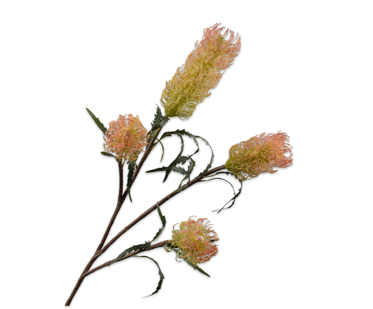 Protea Tak Perzik 114 cm