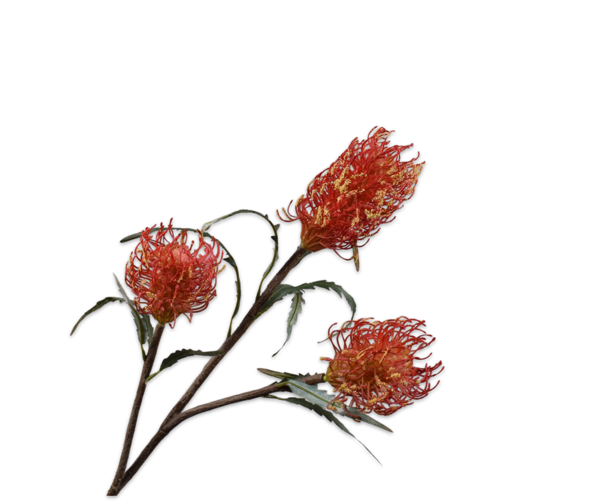 Protea Tak Oranje 86 cm