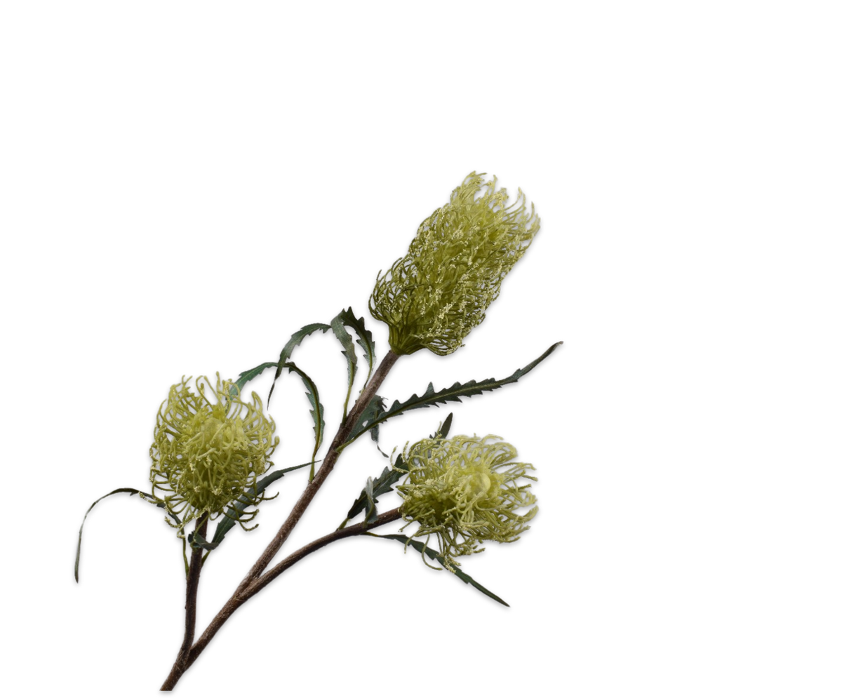 Protea Tak Groen 86 cm