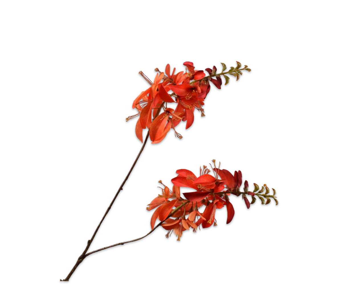 Macuna Tak Oranje 104 cm