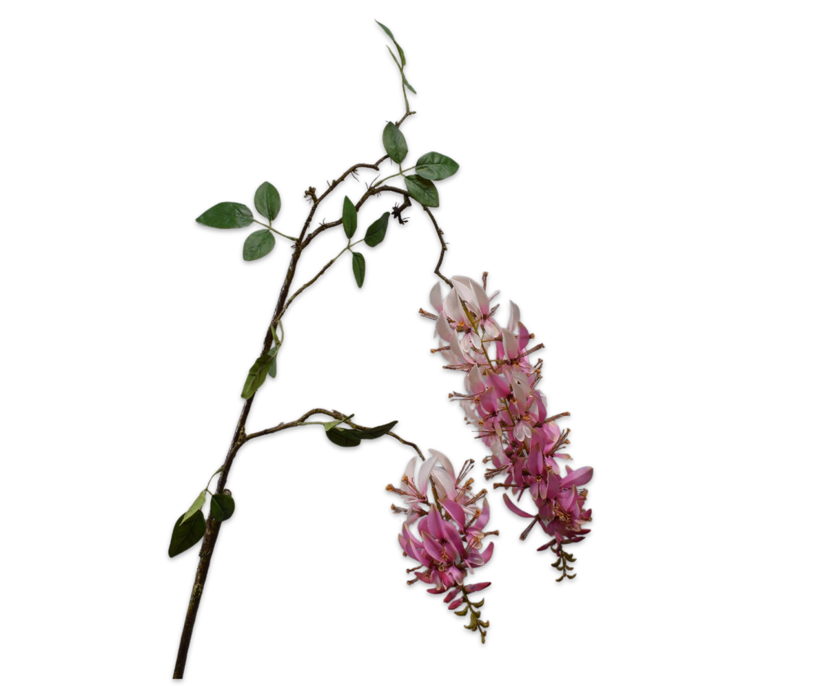 Macuna Tak Roze193 cm