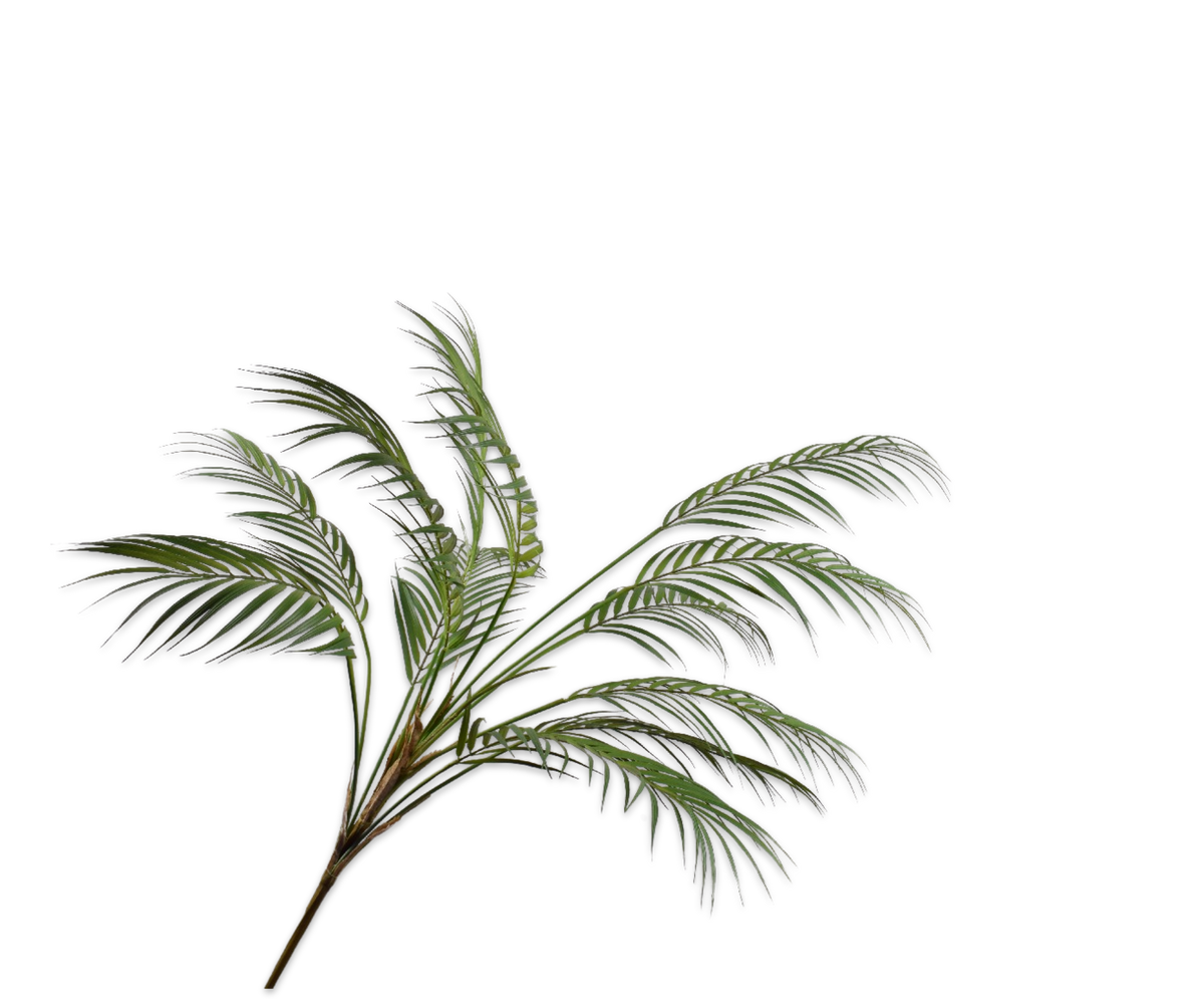 Palm Tak Groen 124 cm
