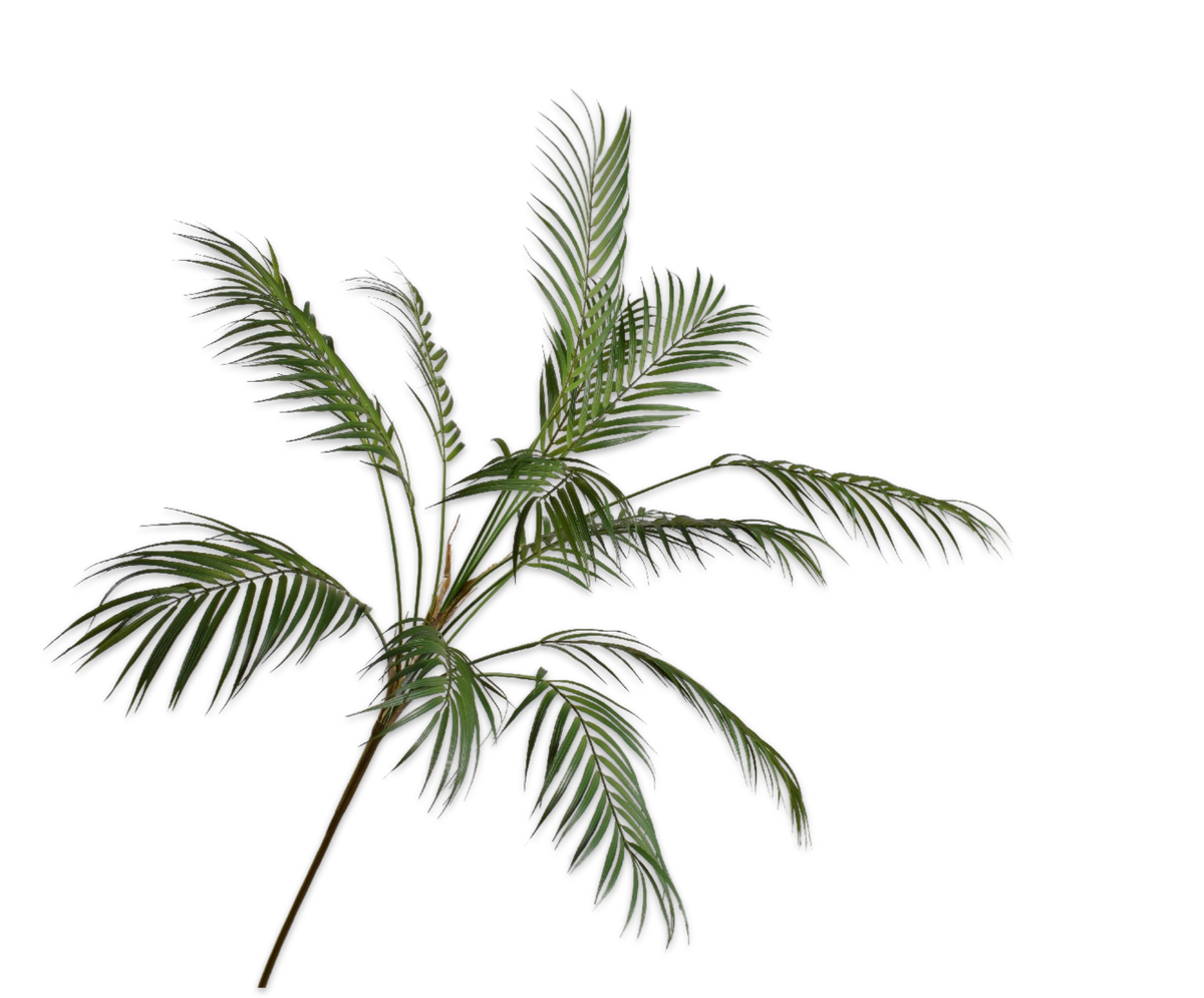 Palm Tak Groen 178 cm