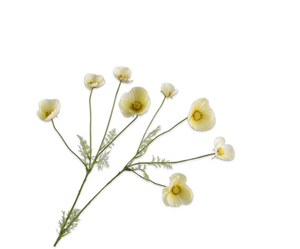 Cosmos Tak Geel Lt 104 cm