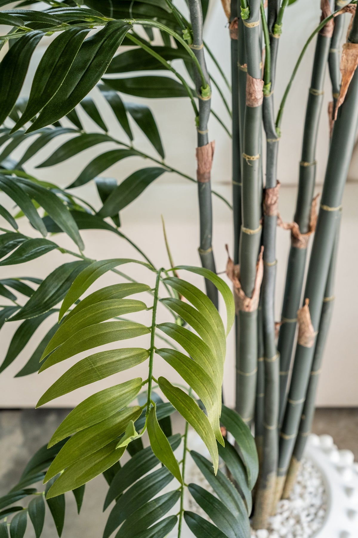 Palmera de Bambú – 245 cm