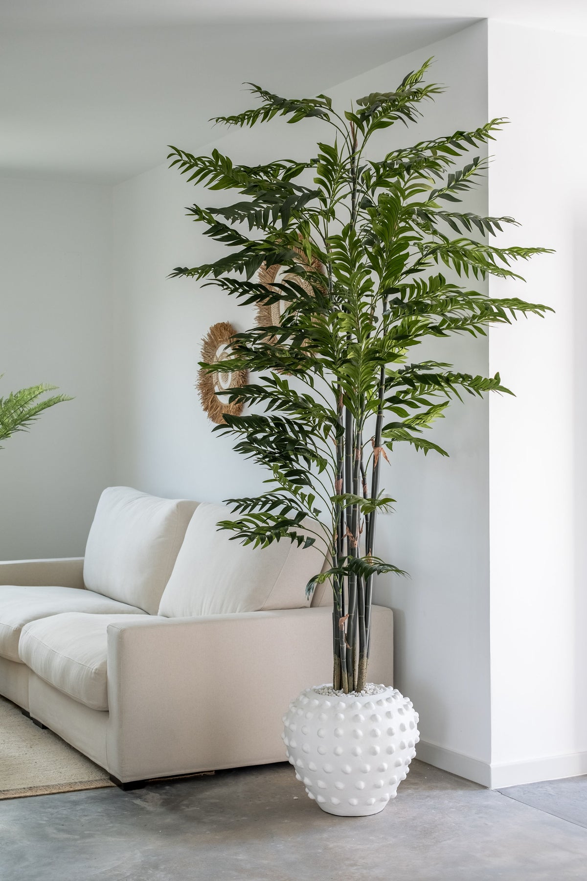 Palmera de Bambú – 245 cm