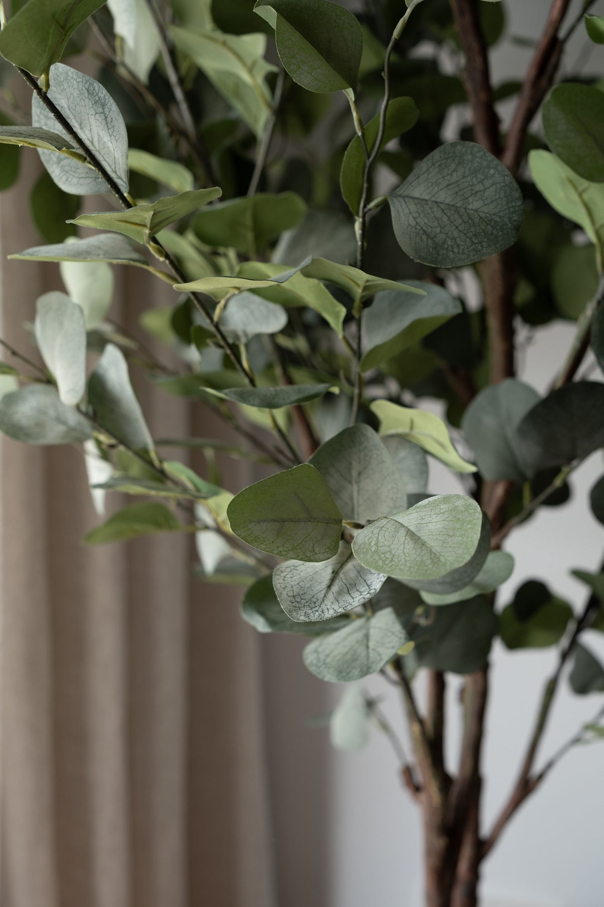Eucalyptus Tree – 180 cm