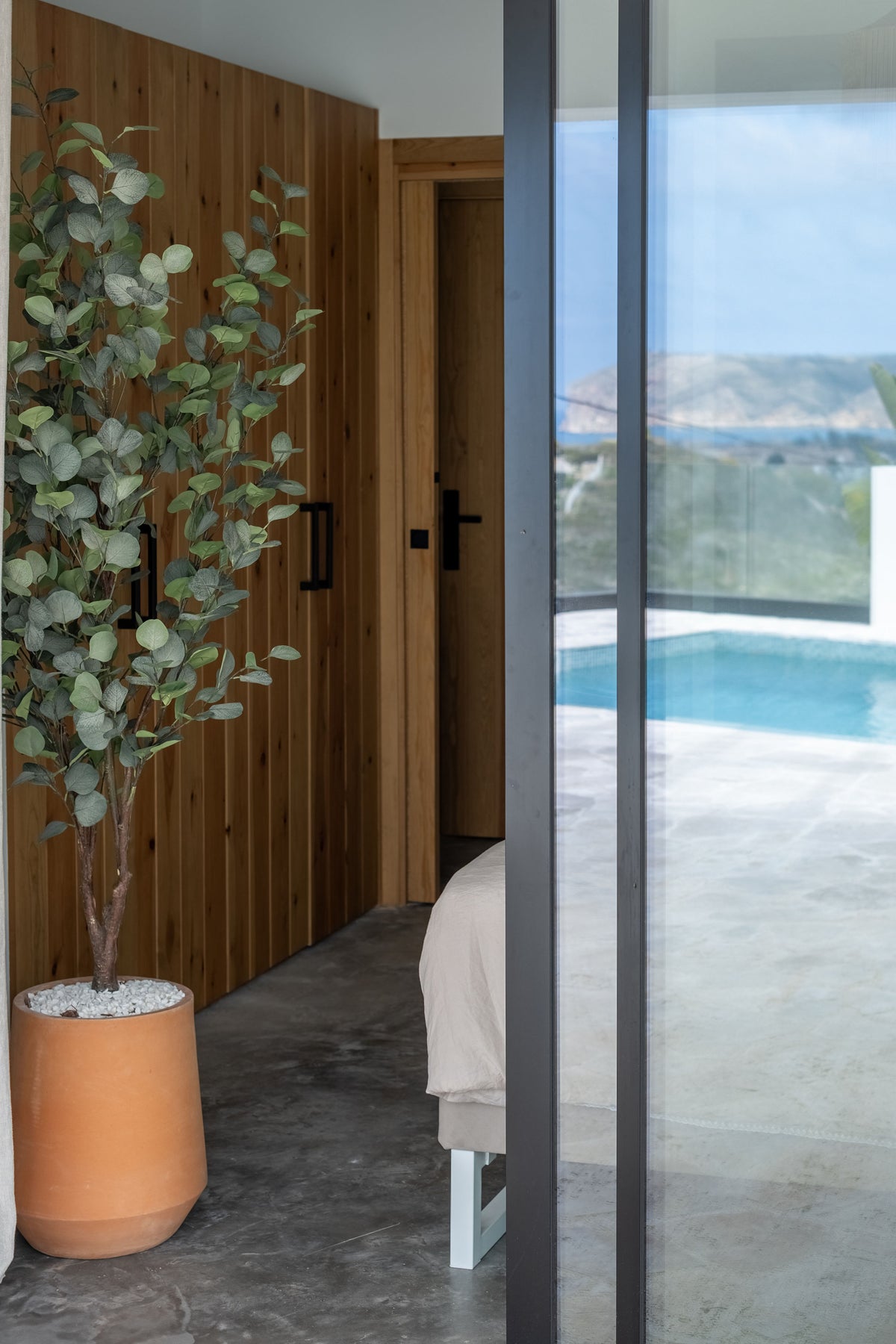 Eucalyptus Tree – 180 cm