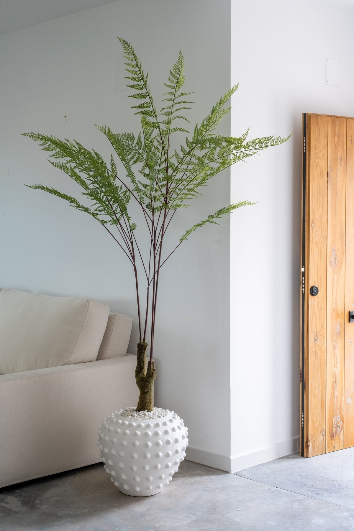 Fern Forest on Trunk – 210 cm