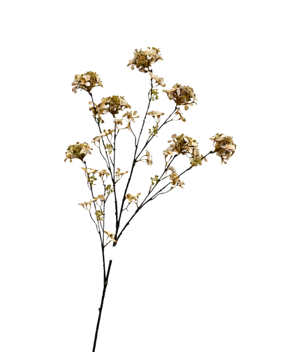 Hydrangea Branch Classic 109 cm