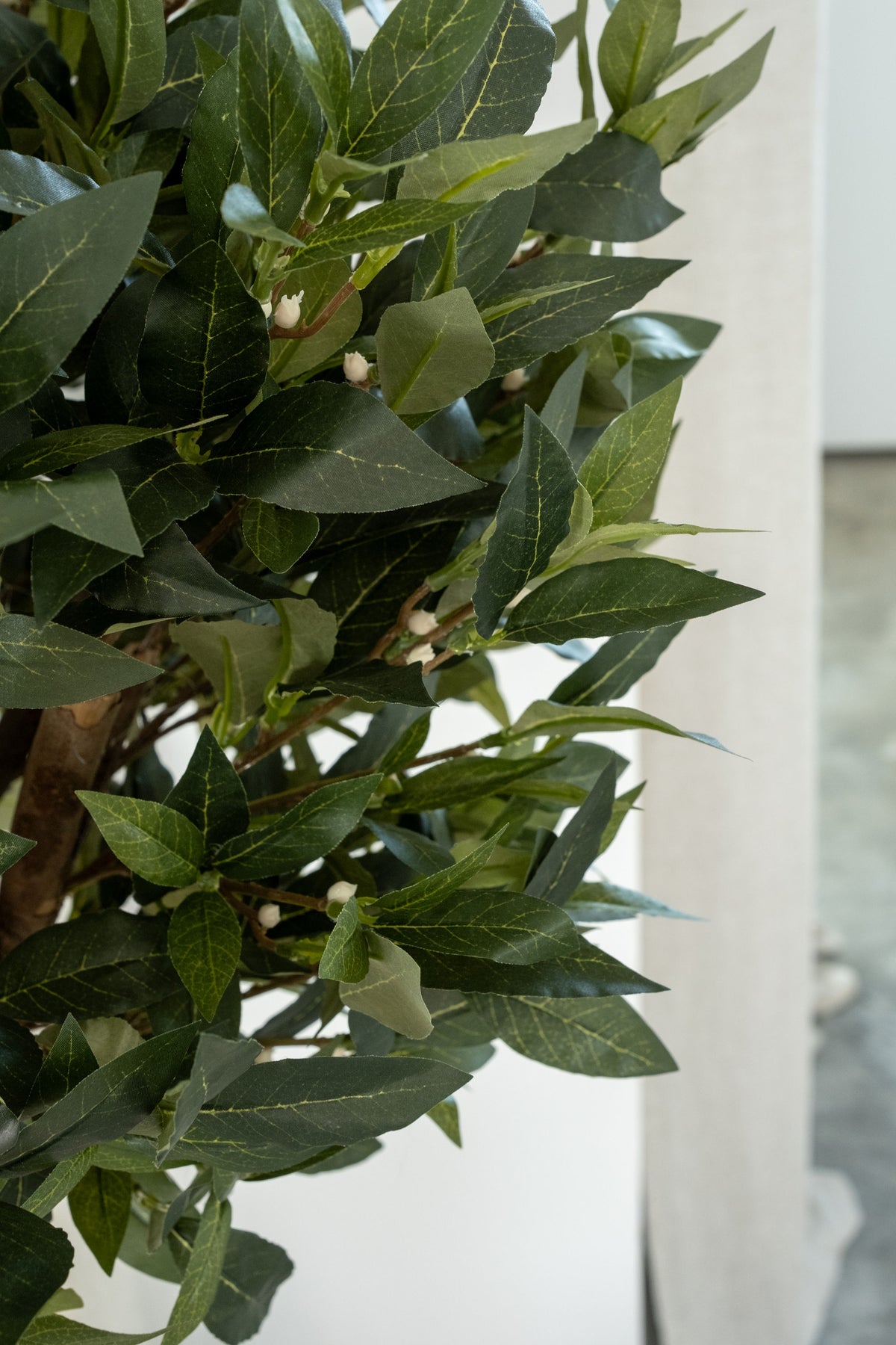 Laurel Ball – 120 cm on Real Trunk