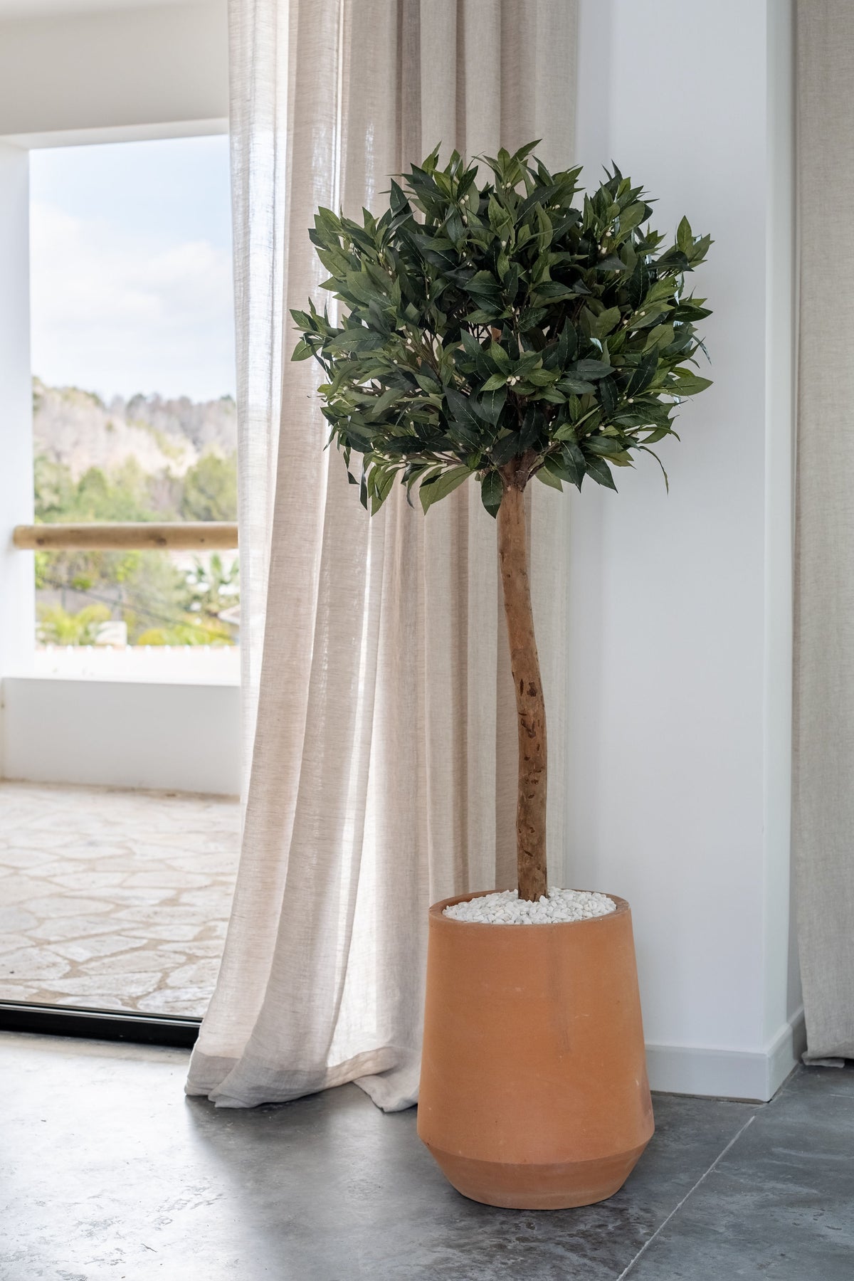 Laurel Ball – 120 cm on Real Trunk