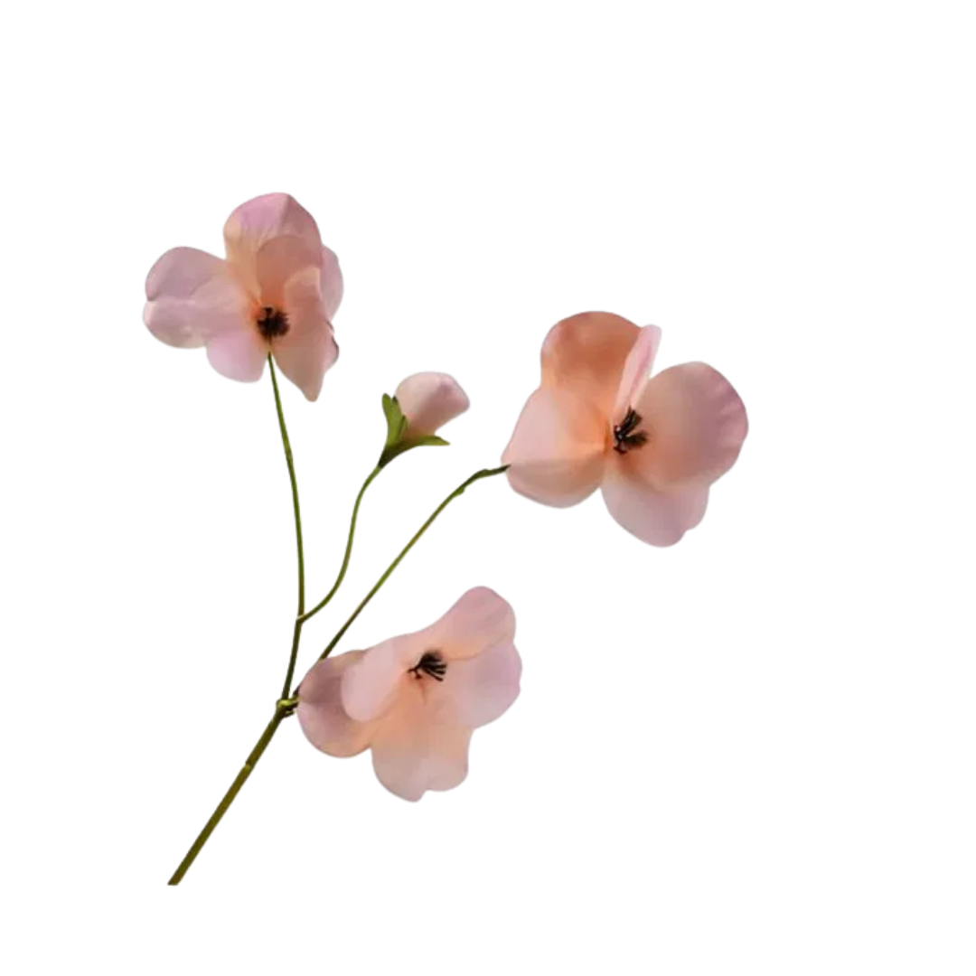 Viool Tak Mauve Rt 63 cm