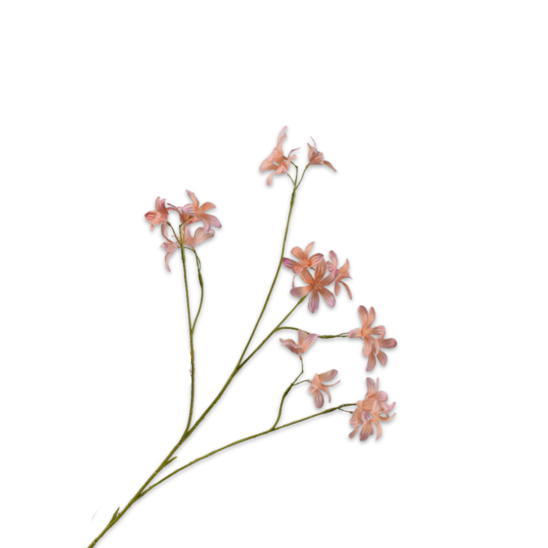 Hyacint Tak Perzik Rt 79 cm