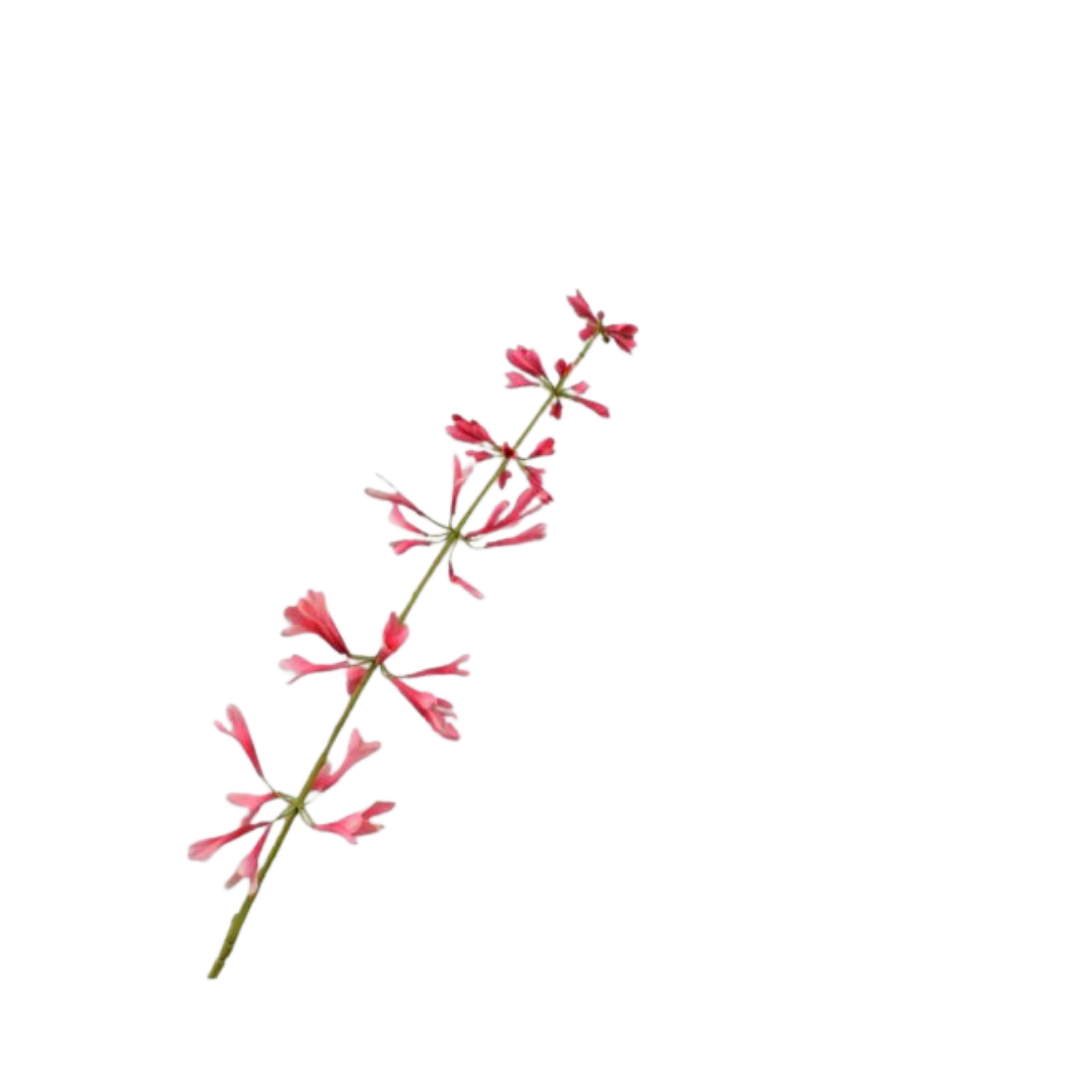 Salvia Steel Beauty 111 cm