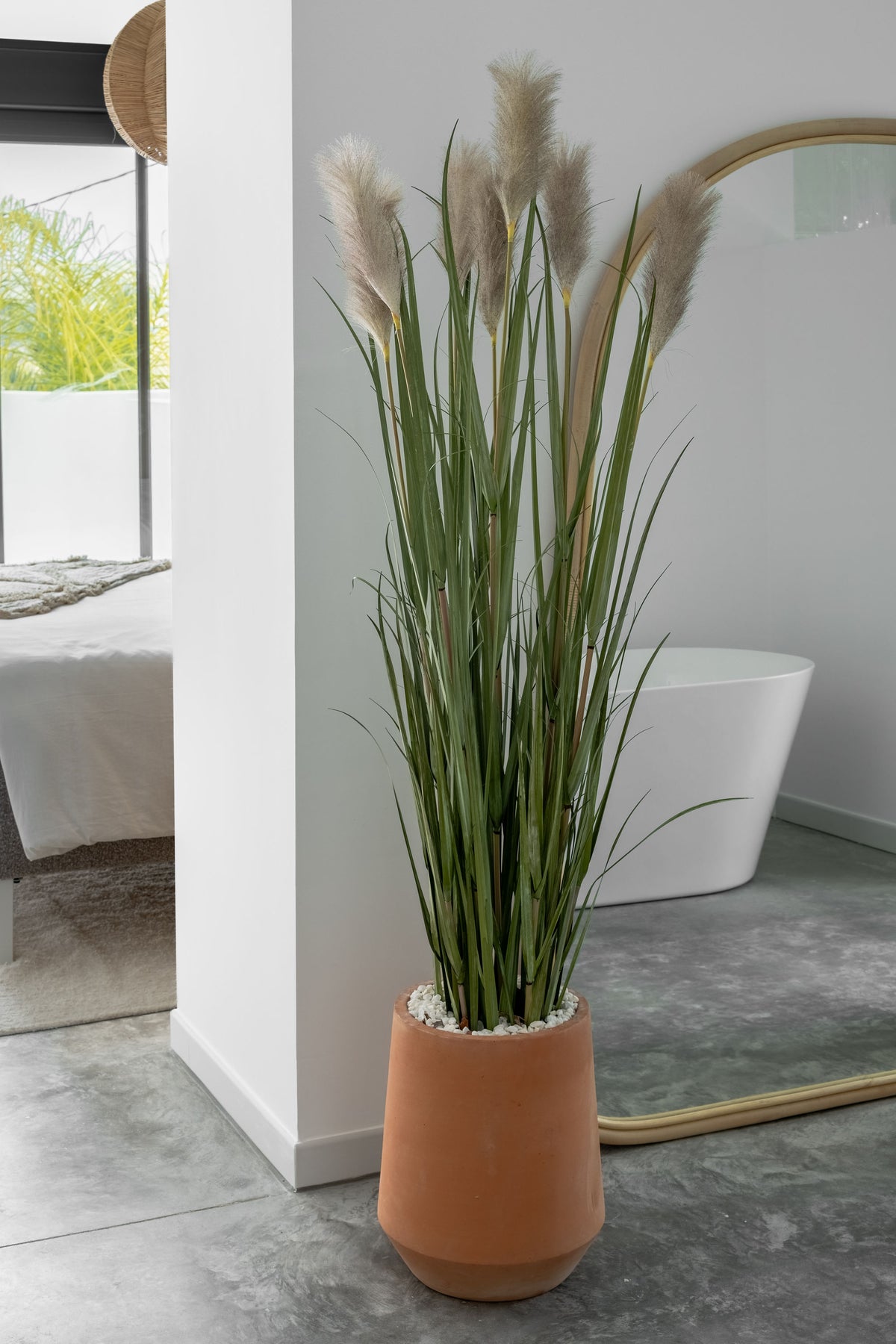Pampas Grass – 160 cm