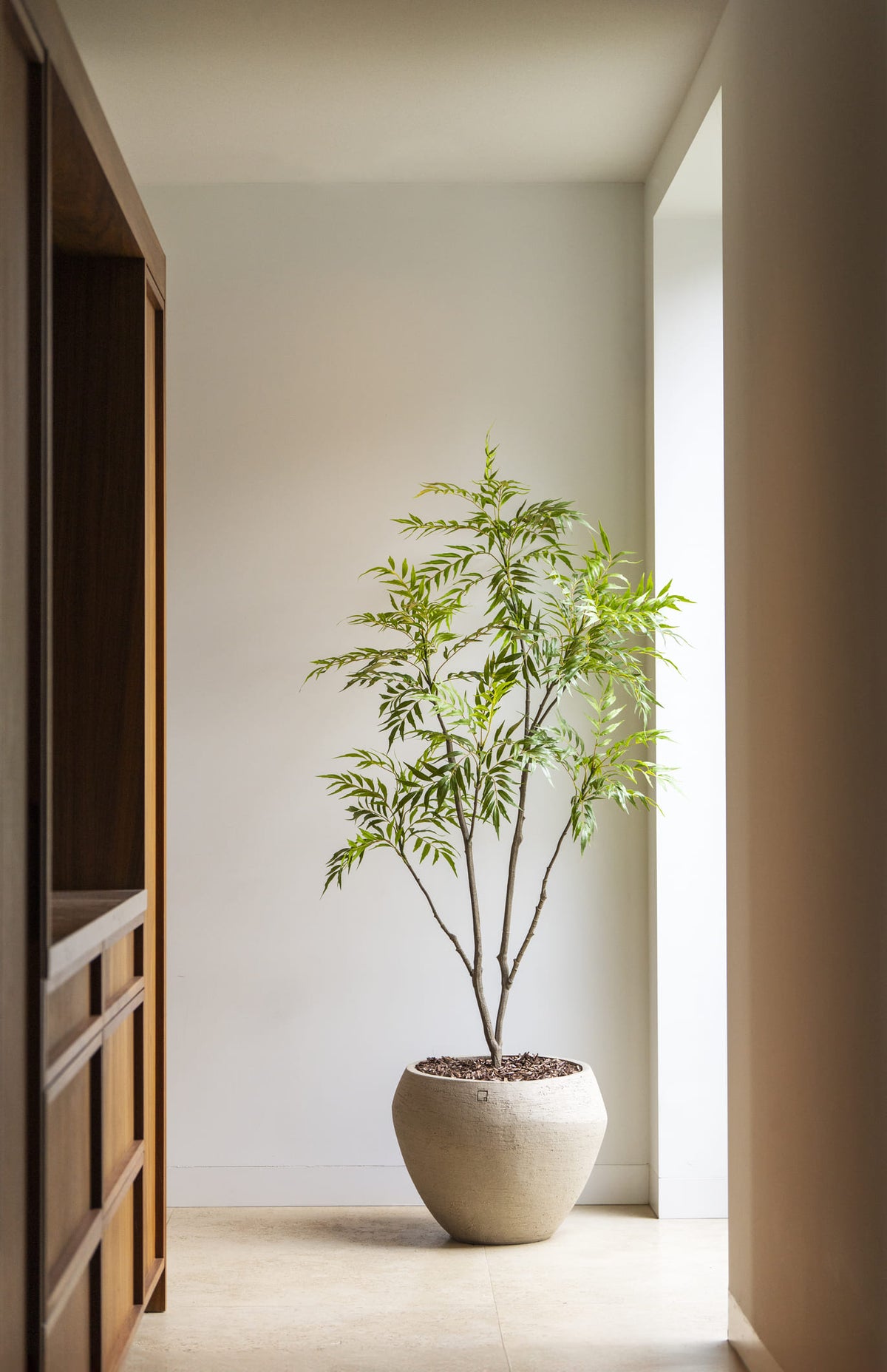 Bamboo Tree – 180 cm