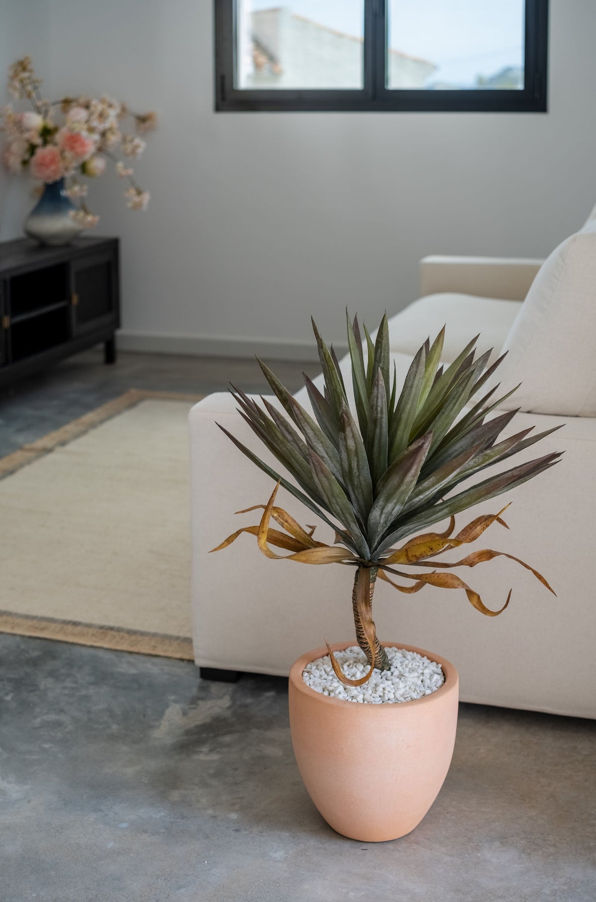 Yucca Stem – 75 cm