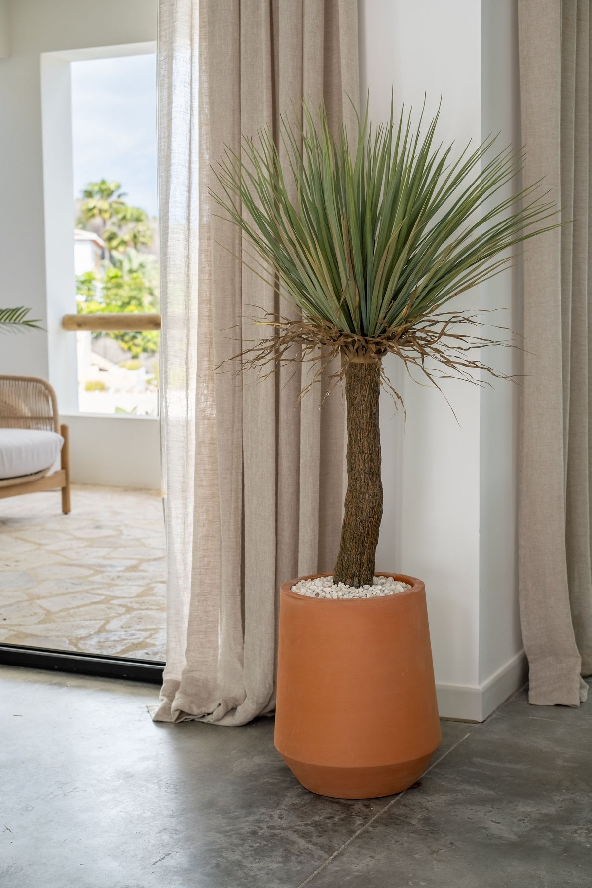 Yucca Wild – 110 cm