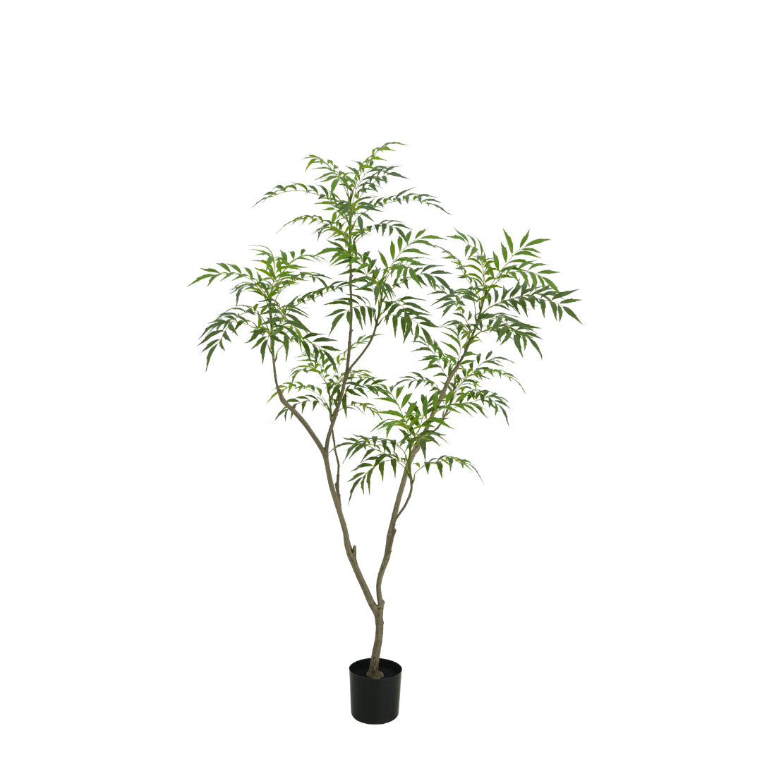 Bamboo Tree – 180 cm